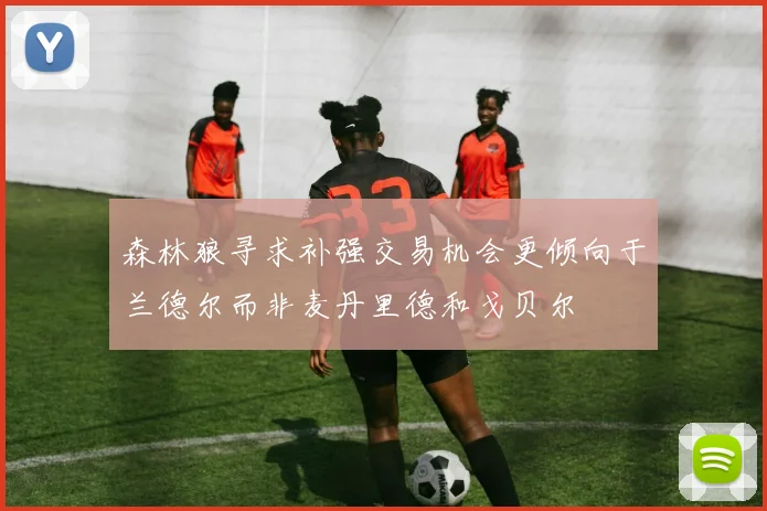 森林狼寻求补强交易机会更倾向于兰德尔而非麦丹里德和戈贝尔